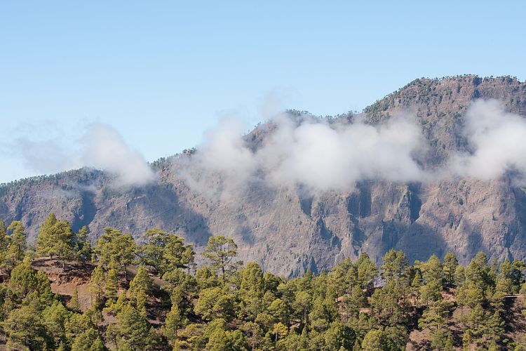 La Palma 2013 - Cumbrecita