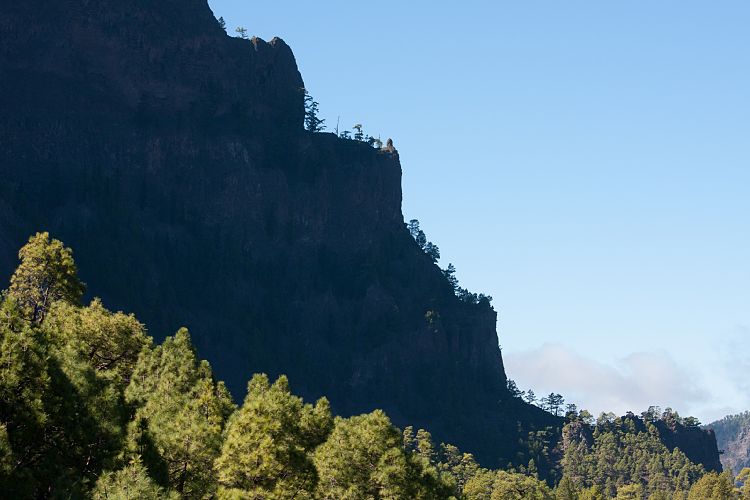 Cumbrecita (La Palma - Cumbrecita)