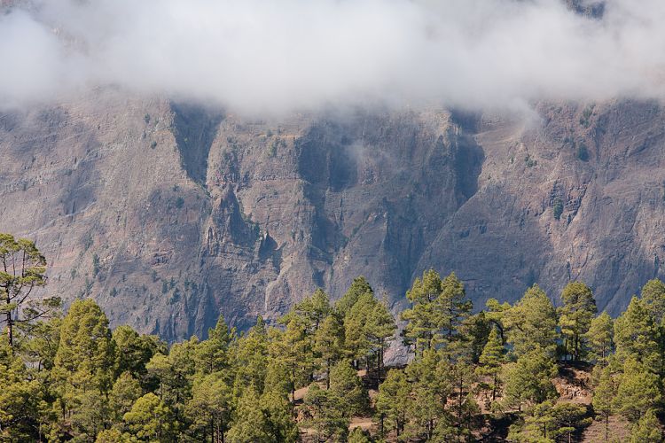 Cumbrecita (La Palma - Cumbrecita)