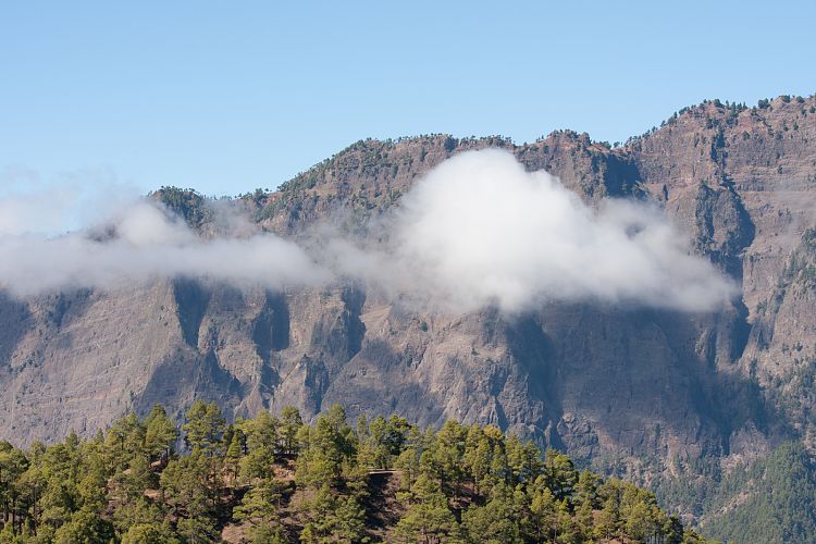 Cumbrecita (La Palma - Cumbrecita)