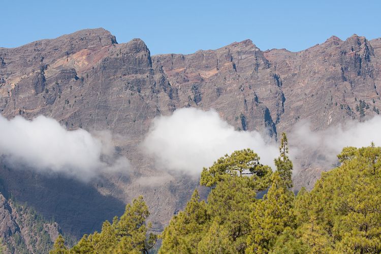 Cumbrecita (La Palma - Cumbrecita)
