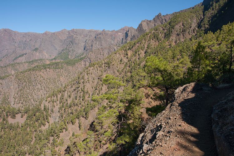 Cumbrecita (La Palma - Cumbrecita)
