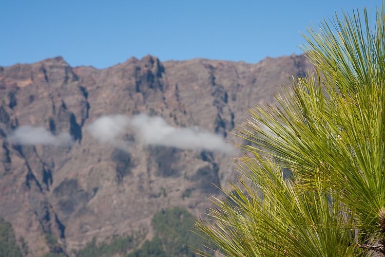 Cumbrecita (La Palma - Cumbrecita)