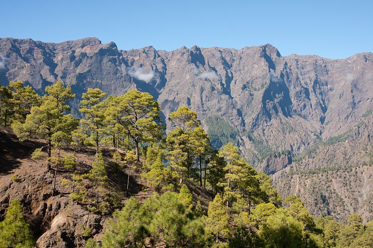 Cumbrecita (La Palma - Cumbrecita)
