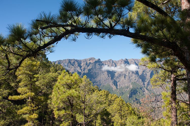 Cumbrecita (La Palma - Cumbrecita)