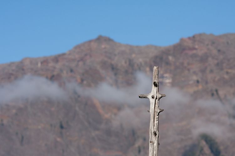 Cumbrecita (La Palma - Cumbrecita)