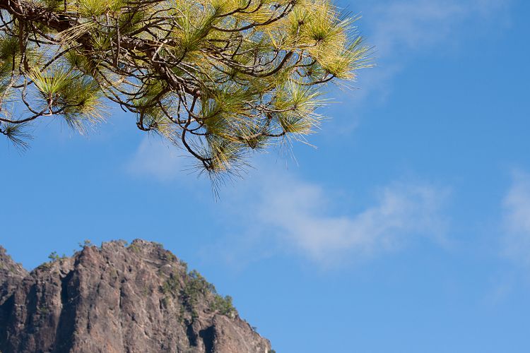 Cumbrecita (La Palma - Cumbrecita)