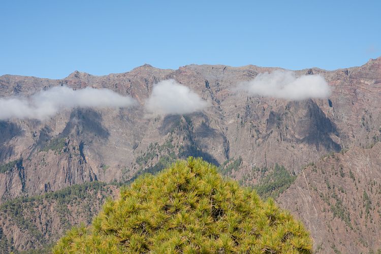 Cumbrecita (La Palma - Cumbrecita)