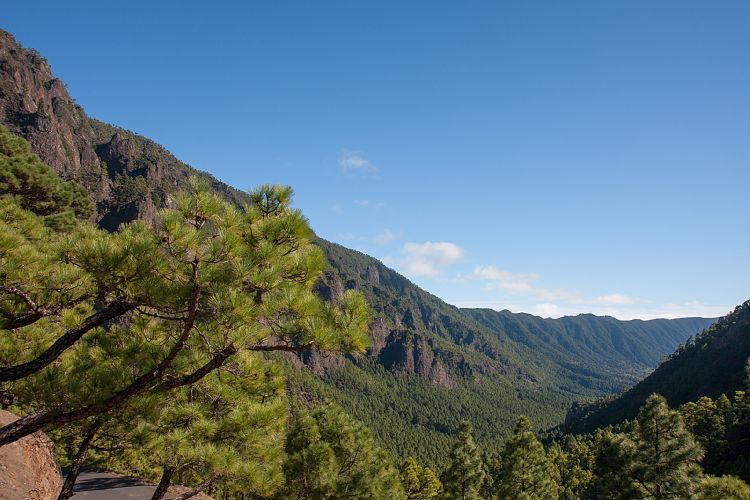 Cumbrecita (La Palma - Cumbrecita)