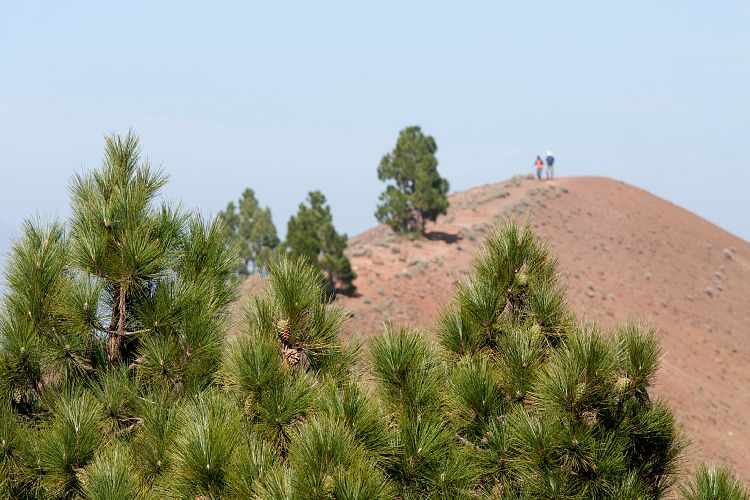 Gipfel des Birigoyo (La Palma - Pico Birigoyo)