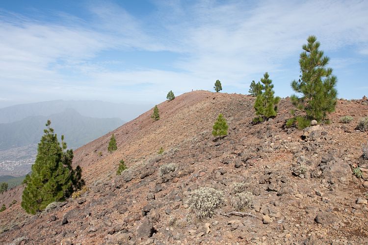 Gipfel des Birigoyo (La Palma - Pico Birigoyo)