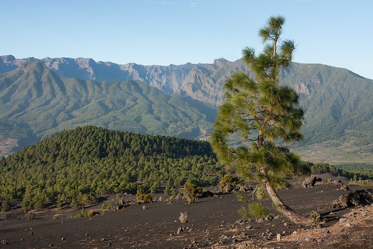 Mirador Llano del Jable (La Palma - Sden)