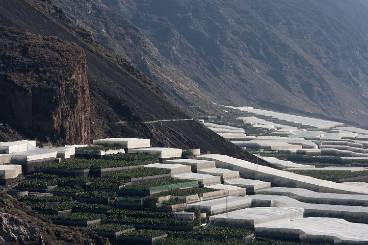 Puerto Naos (La Palma - Sden)