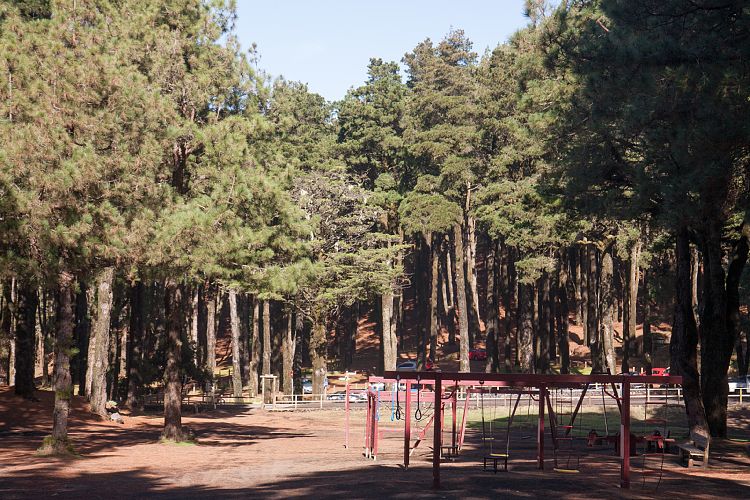Refugio El Pilar (La Palma - Pico Birigoyo)