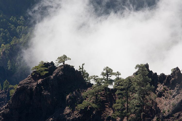 Roque de Los Muchachos (La Palma - Roque de Los Muchachos)