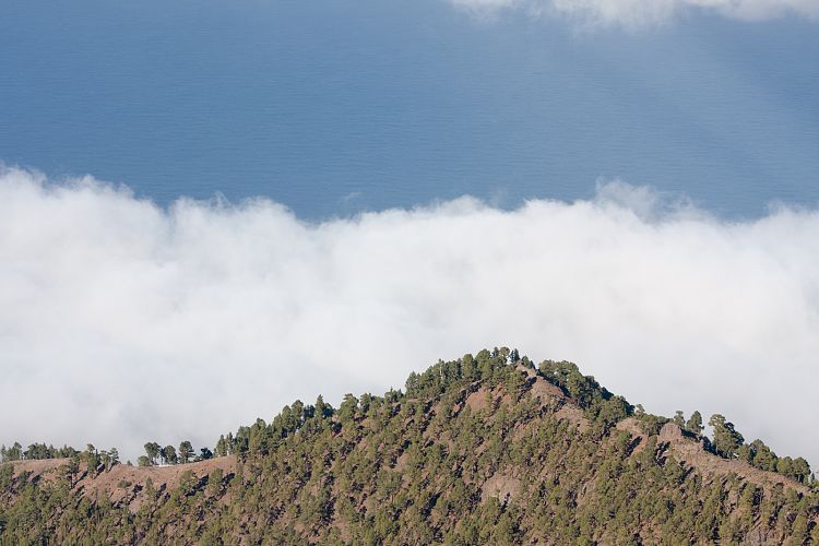 Roque de Los Muchachos (La Palma - Roque de Los Muchachos)