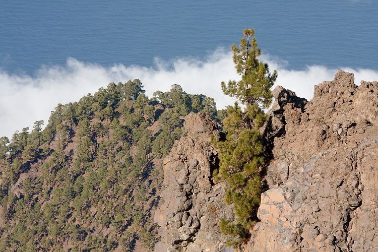 Roque de Los Muchachos (La Palma - Roque de Los Muchachos)