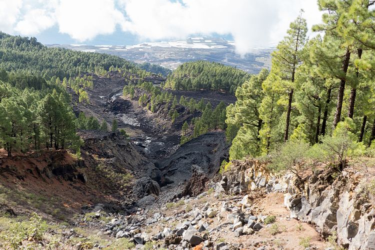 Wanderung Hoyo de la Sima (La Palma - Sden und Westen)