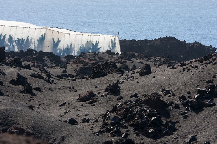 Westkste (La Palma - Sden)