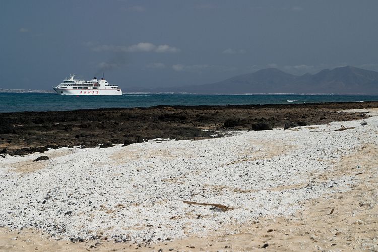 Ausflug nach Fuerteventura (Lanzarote - Fuerteventura)