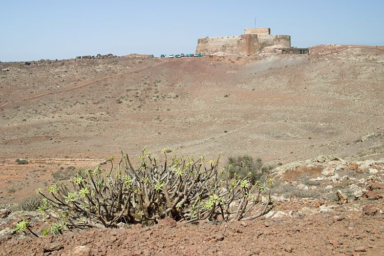 Castell Santa Barbara (Lanzarote - Teguise)