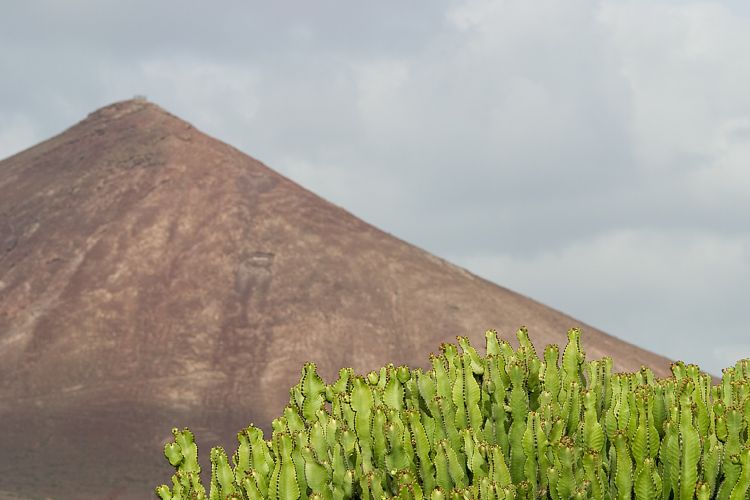 Fundacion Cesar Manrique (Lanzarote - Manrique-Tour)