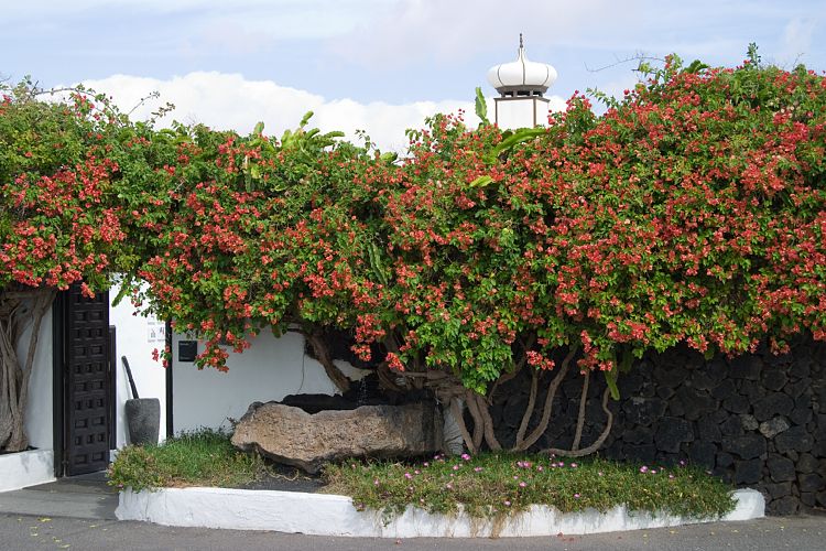 Fundacion Cesar Manrique (Lanzarote - Manrique-Tour)