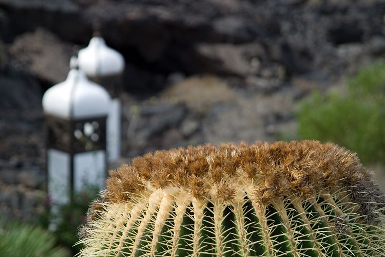 Fundacion Cesar Manrique (Lanzarote - Manrique-Tour)