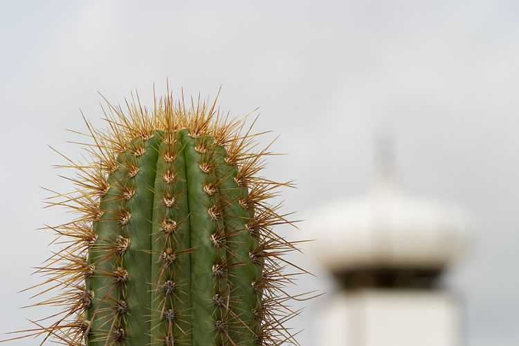 Fundacion Cesar Manrique (Lanzarote - Manrique-Tour)