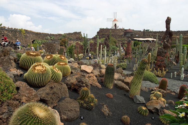 Jardin de Cactus (Lanzarote - Manrique-Tour)