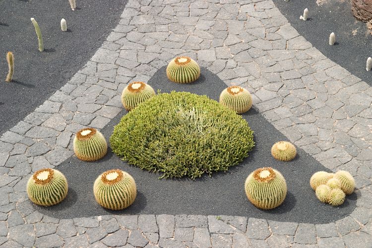 Jardin de Cactus (Lanzarote - Manrique-Tour)