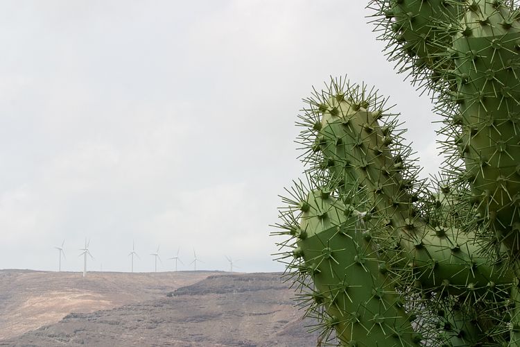 Jardin de Cactus (Lanzarote - Manrique-Tour)
