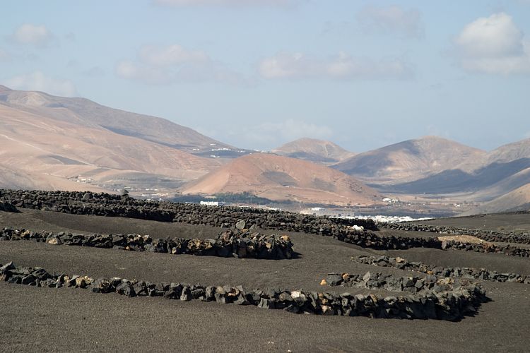 La Geria (Lanzarote - Der Norden)