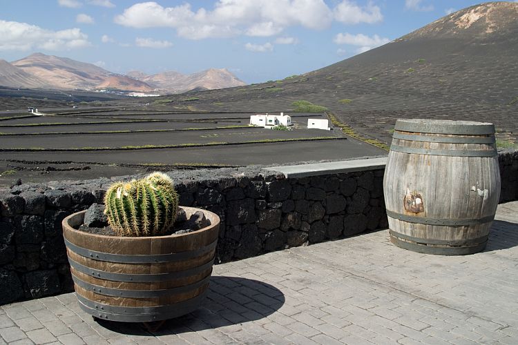 La Geria (Lanzarote - Der Norden)