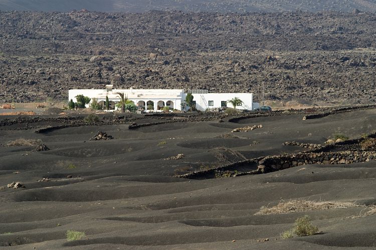La Geria (Lanzarote - Timanfaya)