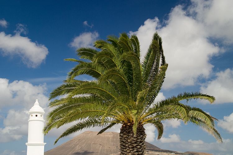 Monumento Campesino (Lanzarote - Der Norden)