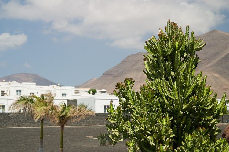 Playa Blanca (Lanzarote - Der Sdwesten)