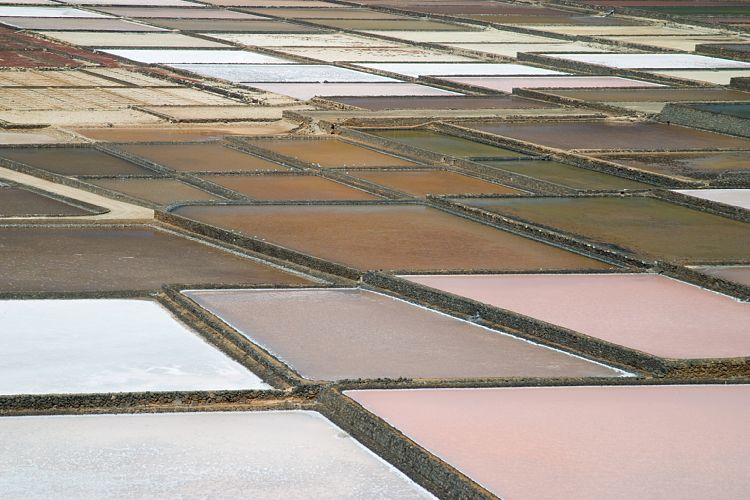 Salinas de Janubio (Lanzarote - Der Sdwesten)