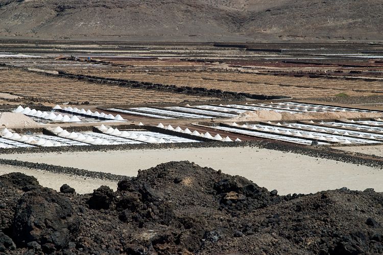 Salinas de Janubio (Lanzarote - Der Sdwesten)