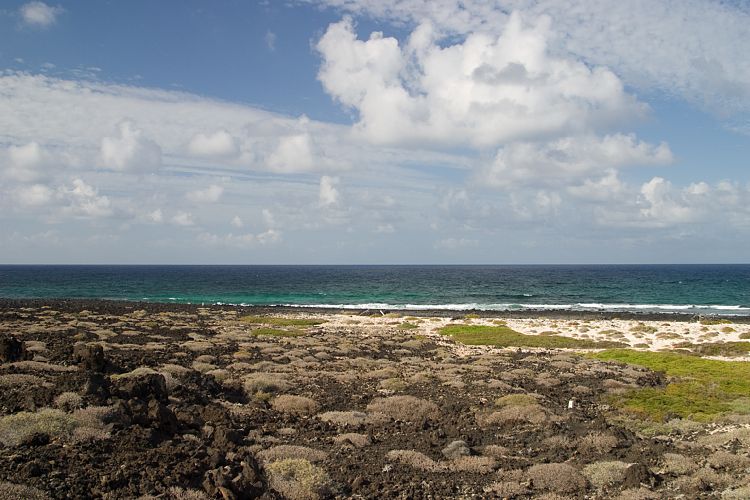 Strnde bei Orzola (Lanzarote - Der Norden)