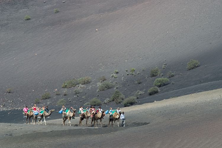 Timanfaya (Lanzarote - Timanfaya)