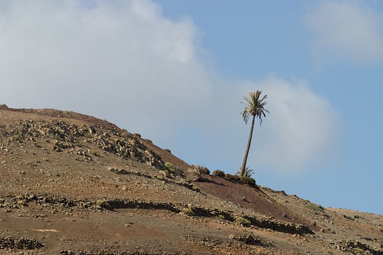 Yaiza (Lanzarote - Der Norden)