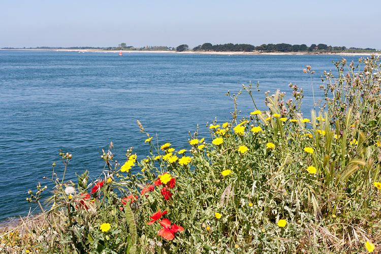 Arzon (Frankreich - Golf von Morbihan)