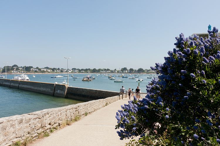 Arzon (Frankreich - Golf von Morbihan)