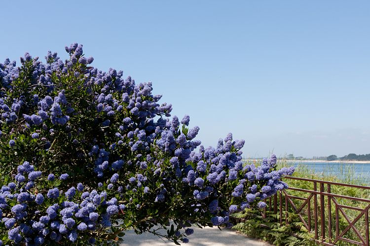 Arzon (Frankreich - Golf von Morbihan)