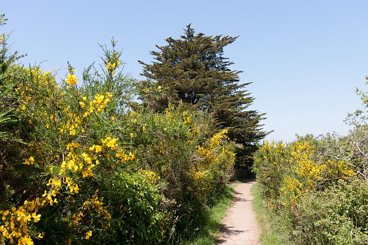 Arzon (Frankreich - Golf von Morbihan)