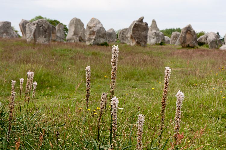 Carnac (Frankreich - Carnac)