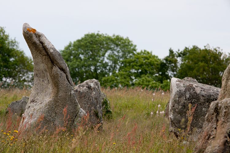 Carnac (Frankreich - Carnac)