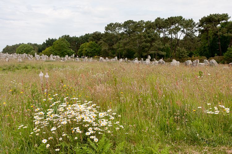 Carnac (Frankreich - Carnac)