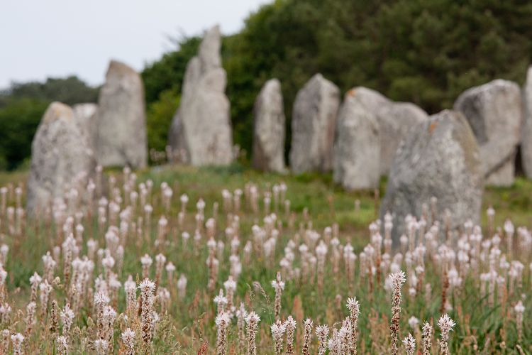 Carnac (Frankreich - Carnac)